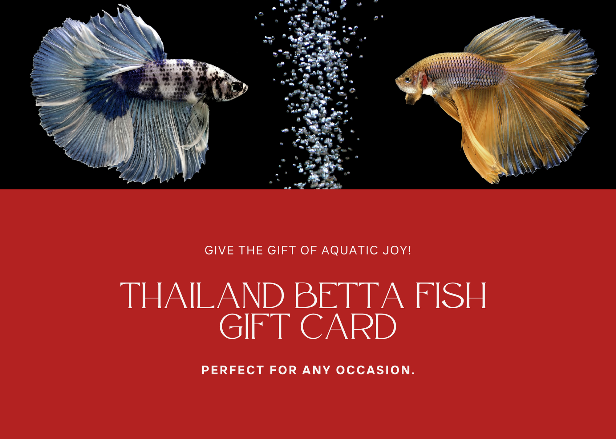 Gift Card product photo from Thailand Betta Fish