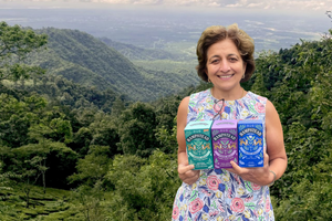 Focus vs Organic English Breakfast Tea Bags… & more: Which Is Best?