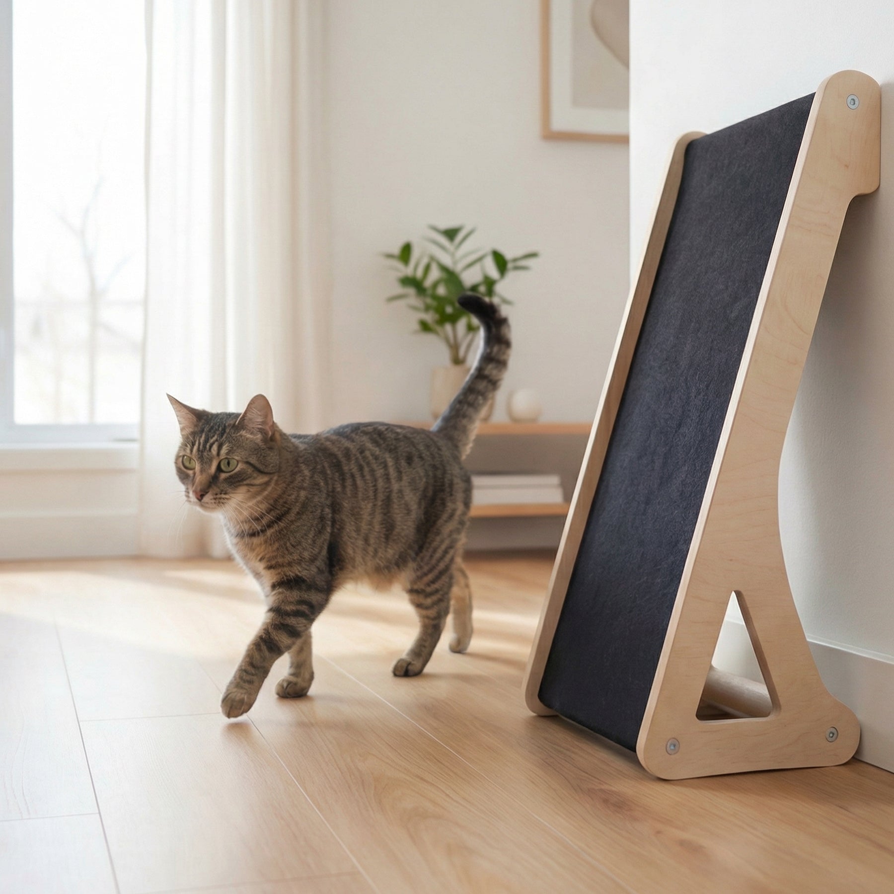 Inclined Wall & Floor Cat Scratcher product photo from Nobaanimal