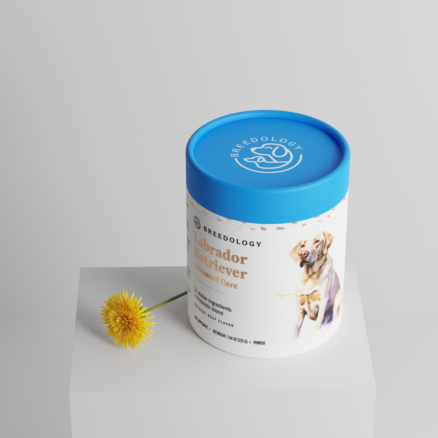Labrador Retriever Advanced Care product photo from Breedologynutrition