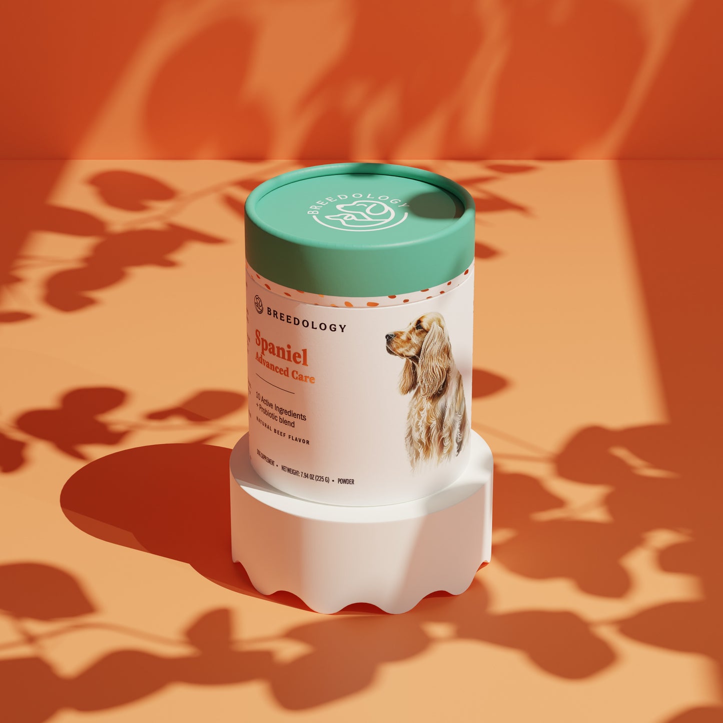 Spaniel Advanced Care product photo from Breedologynutrition
