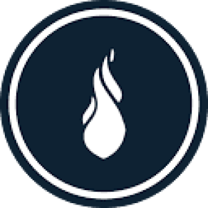 Selectsaunas brand logo