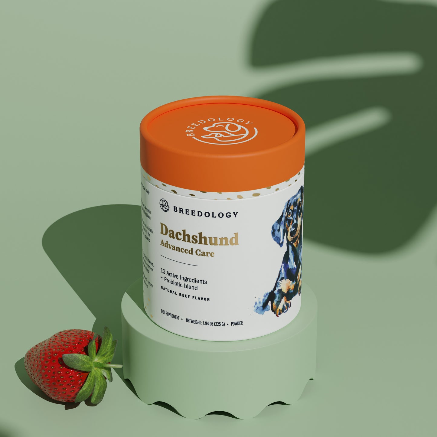 Dachshund Advanced Care product photo from Breedologynutrition